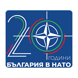 NATO 20 Logo